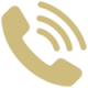 icons8-phone-100